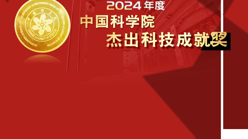 电商平台API管理的核心挑战与解决方案**