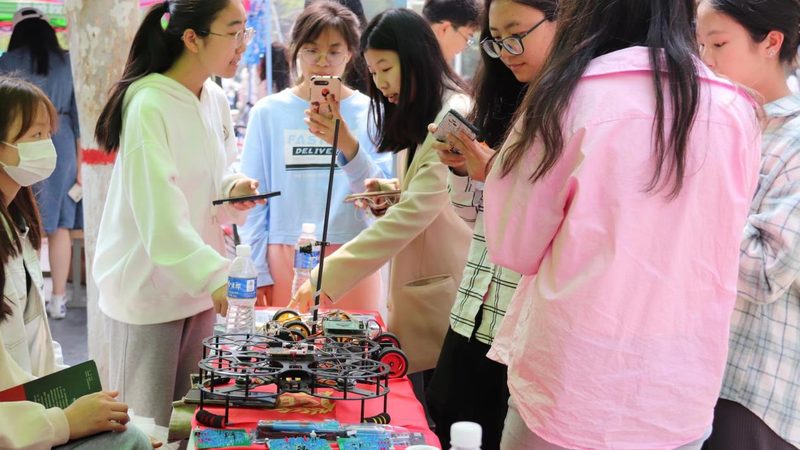 中小企业星型模型：构建高效IT架构的关键**